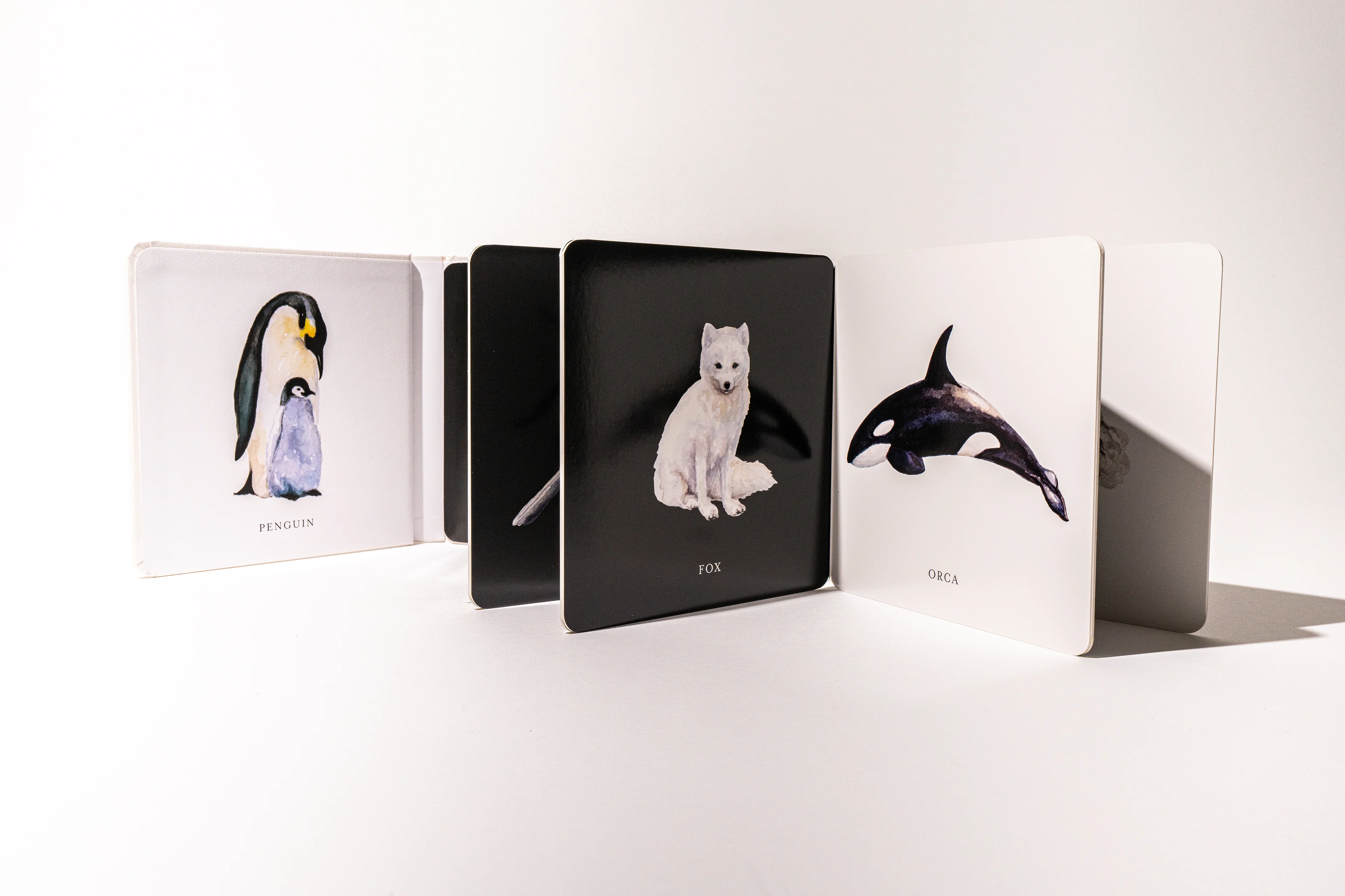 Baby's Black & White Contrast Book - Image 4