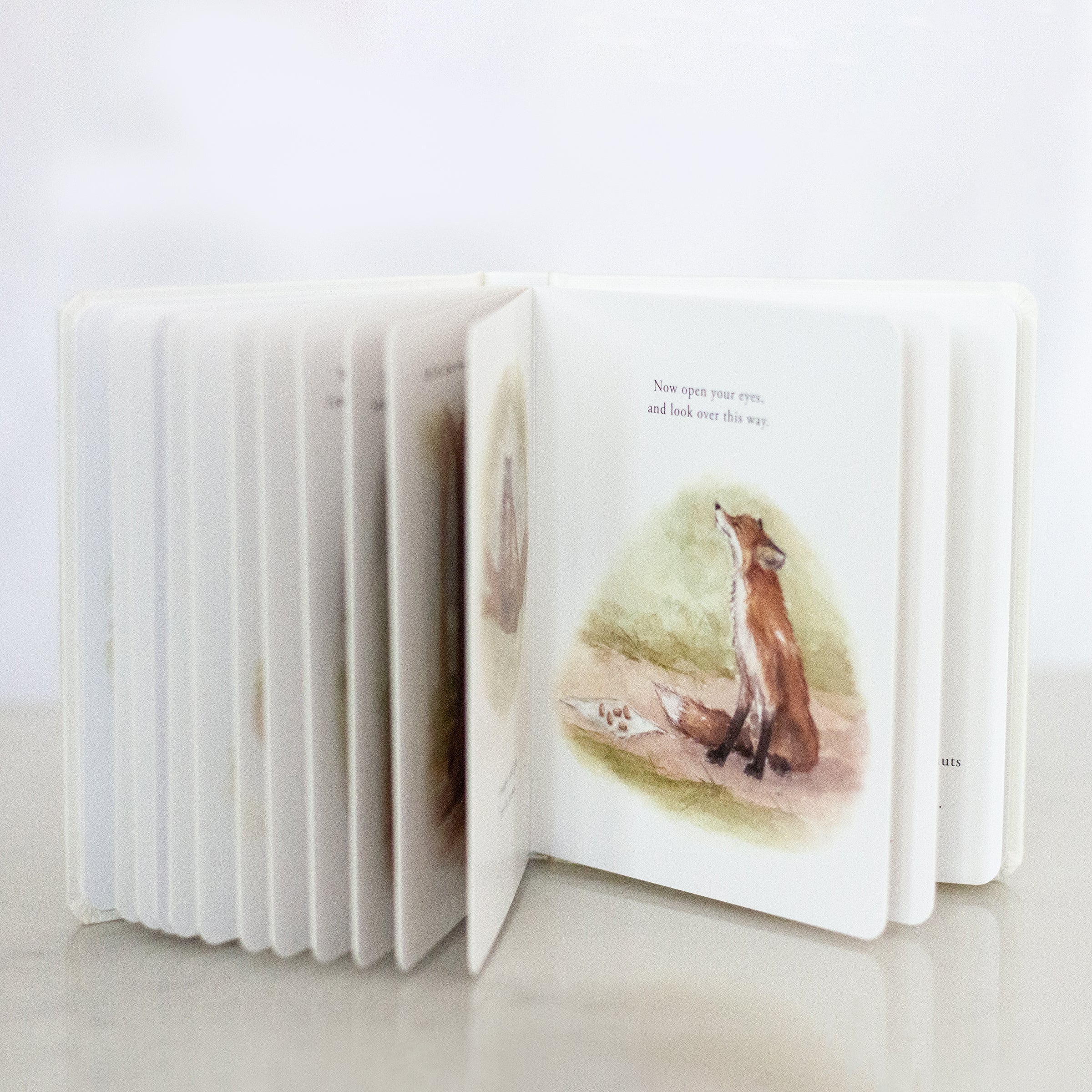 Our Little Adventures Book Set - Image 10