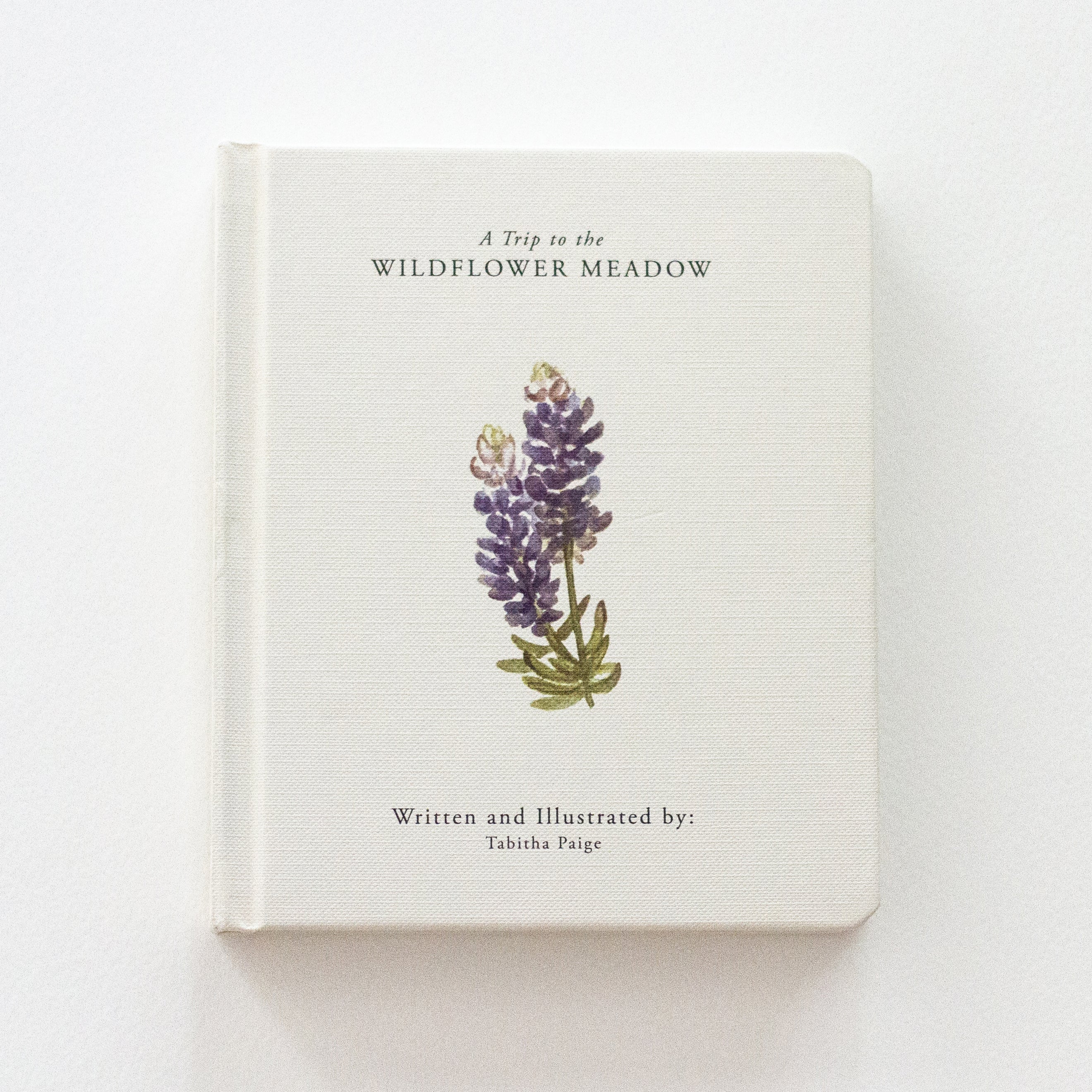 Our Little Adventures Book Set - Image 4