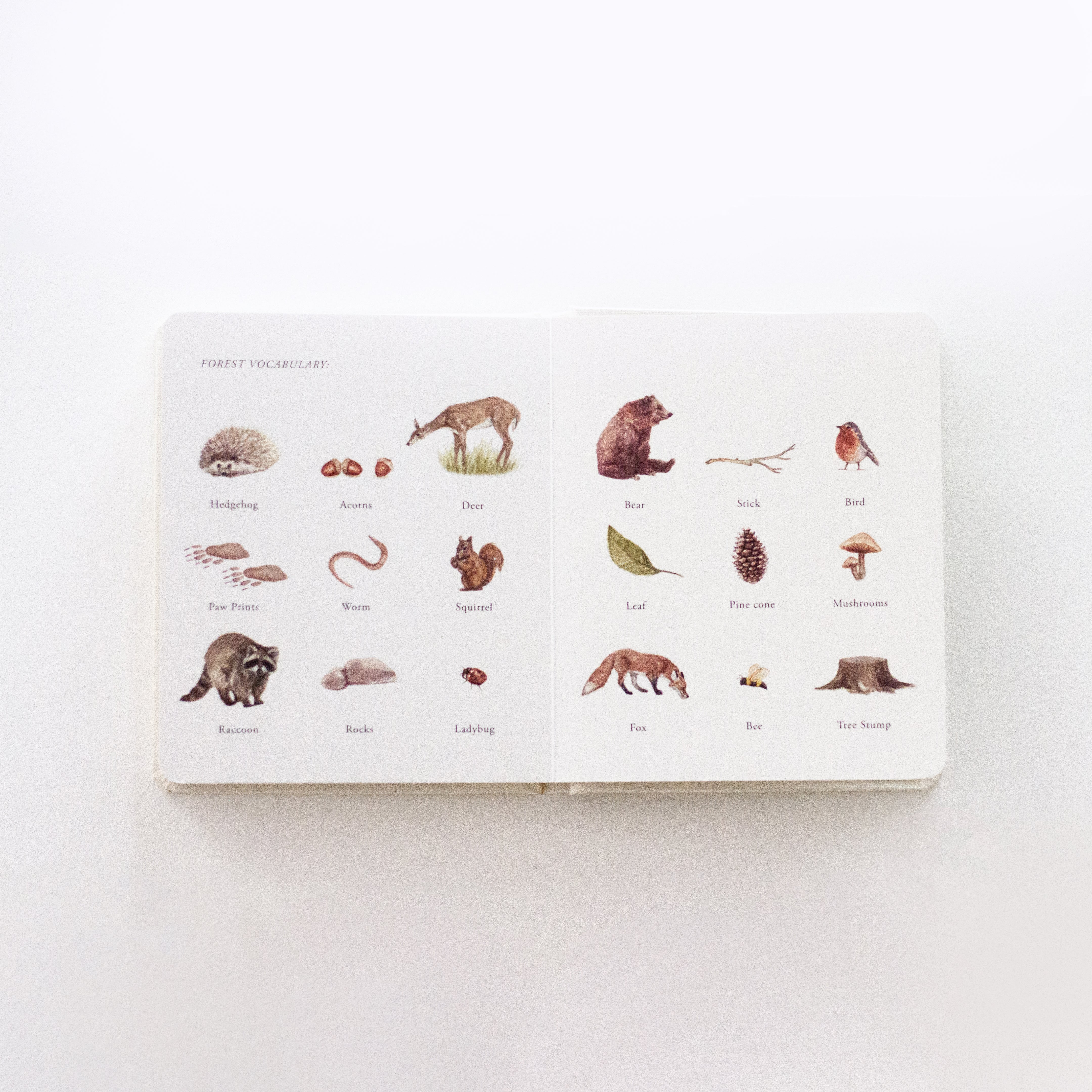 Our Little Adventures Book Set - Image 5