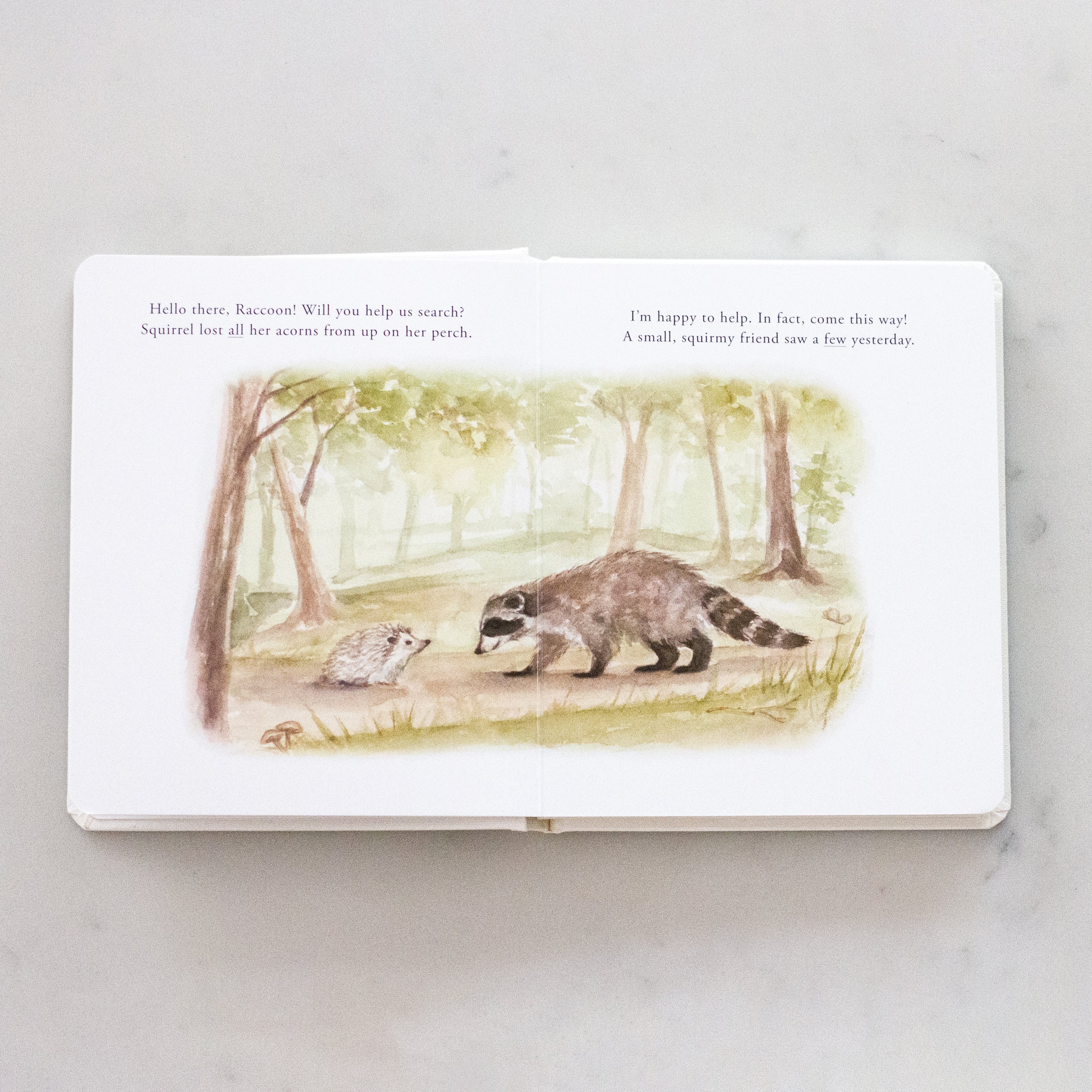 Our Little Adventures Book Set - Image 9