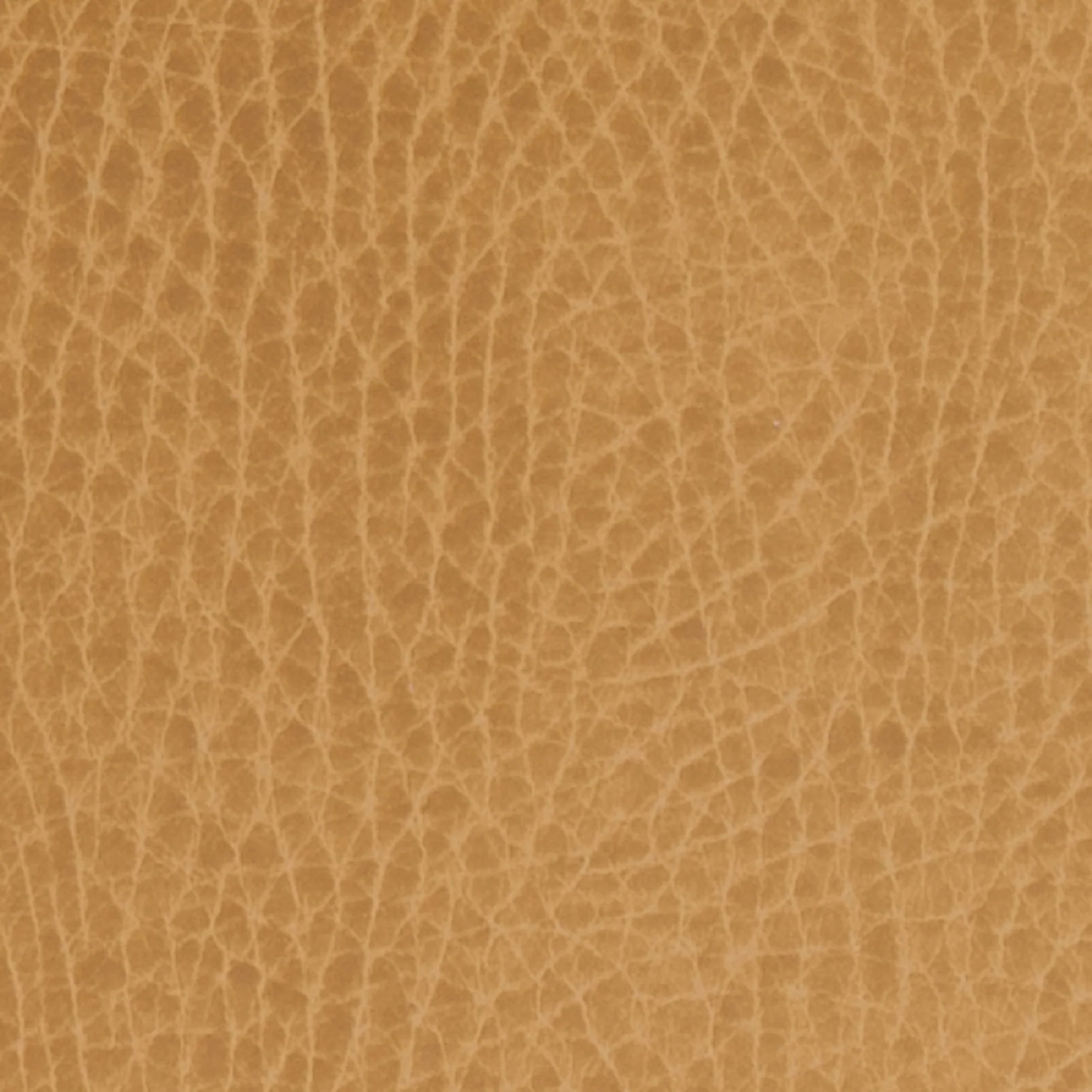 Swatches - Colors - Image 17