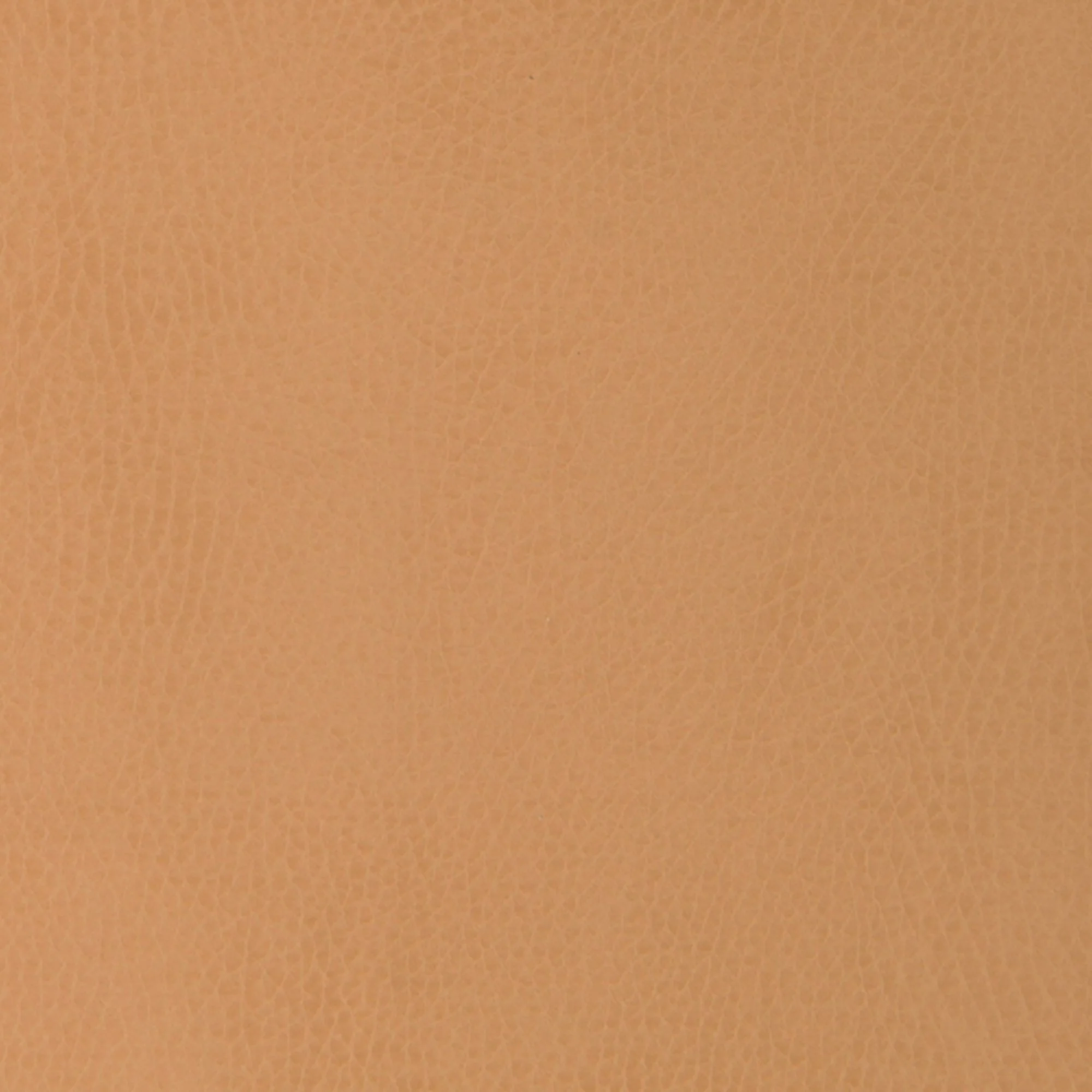 Swatches - Colors - Image 18