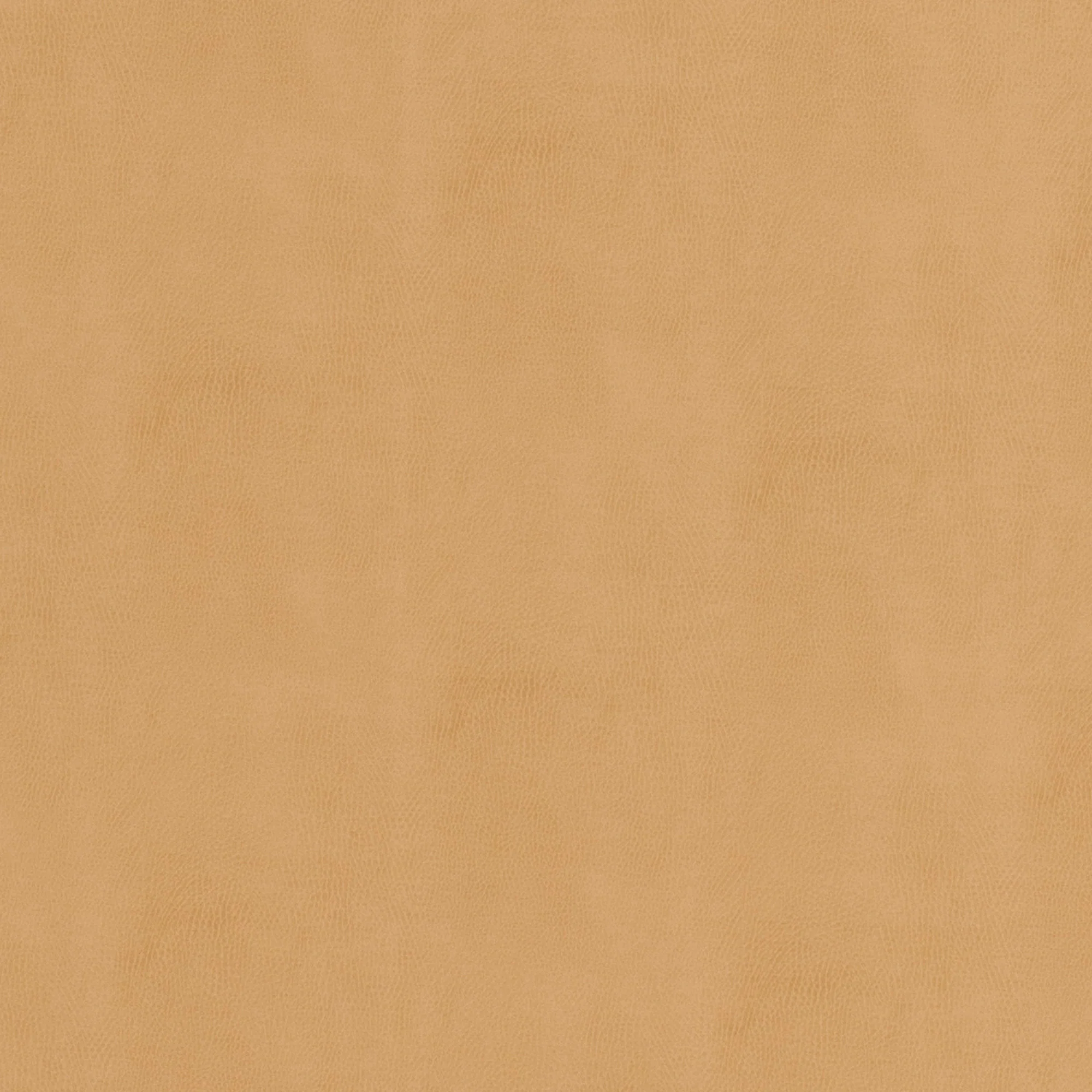 Swatches - Colors - Image 19