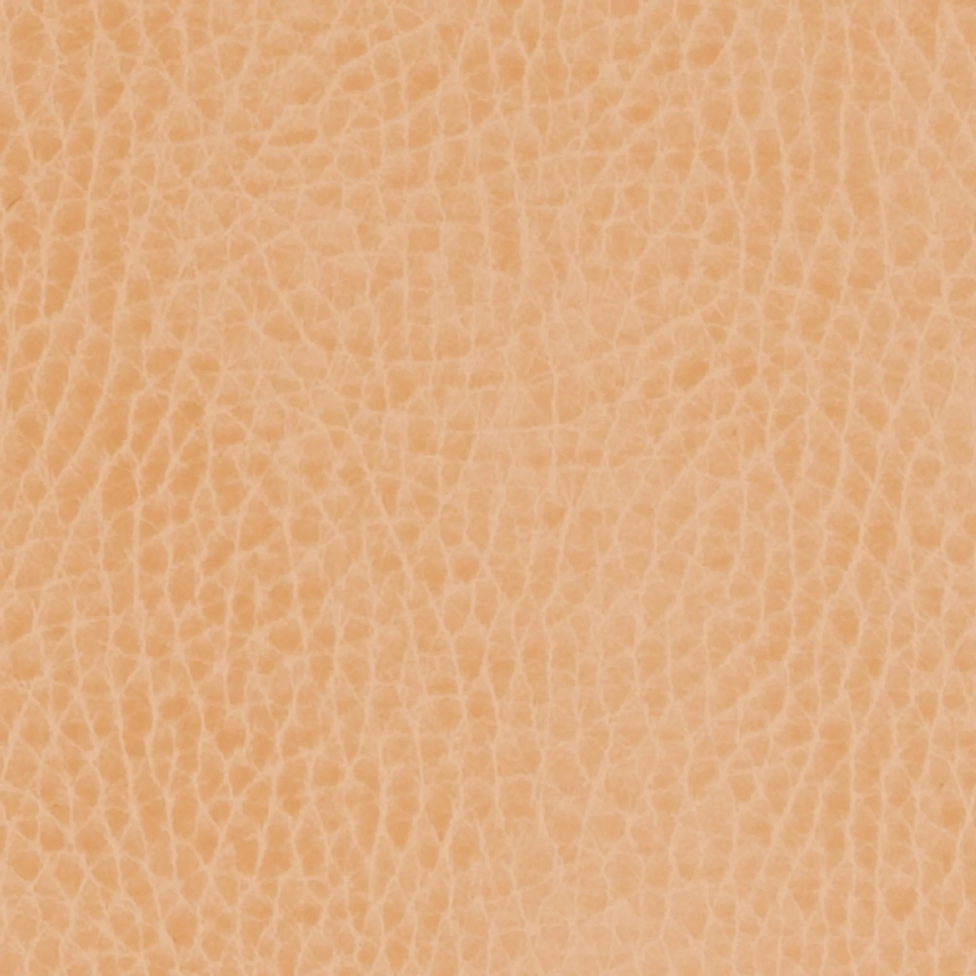 Swatches - Colors - Image 22