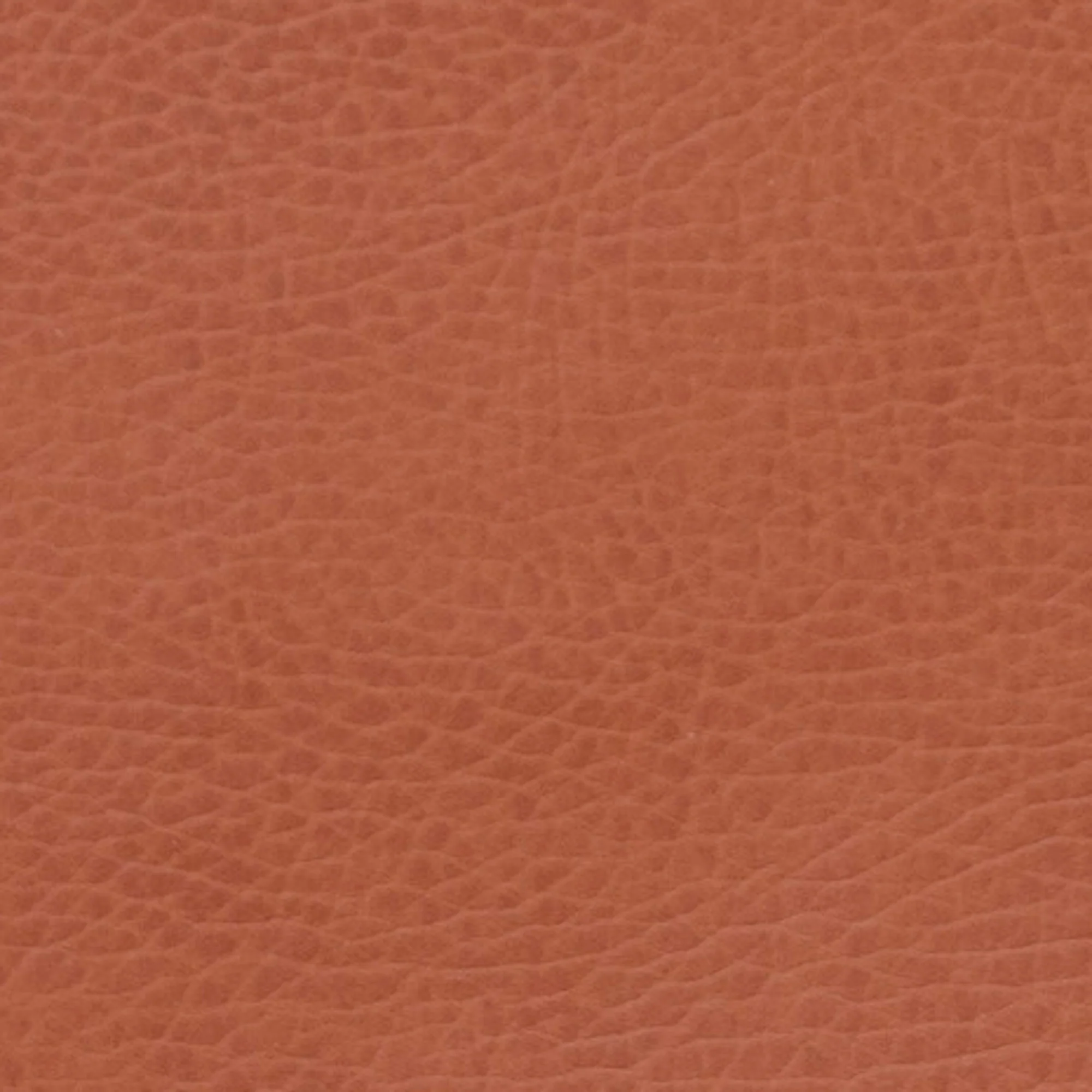 Swatches - Colors - Image 39