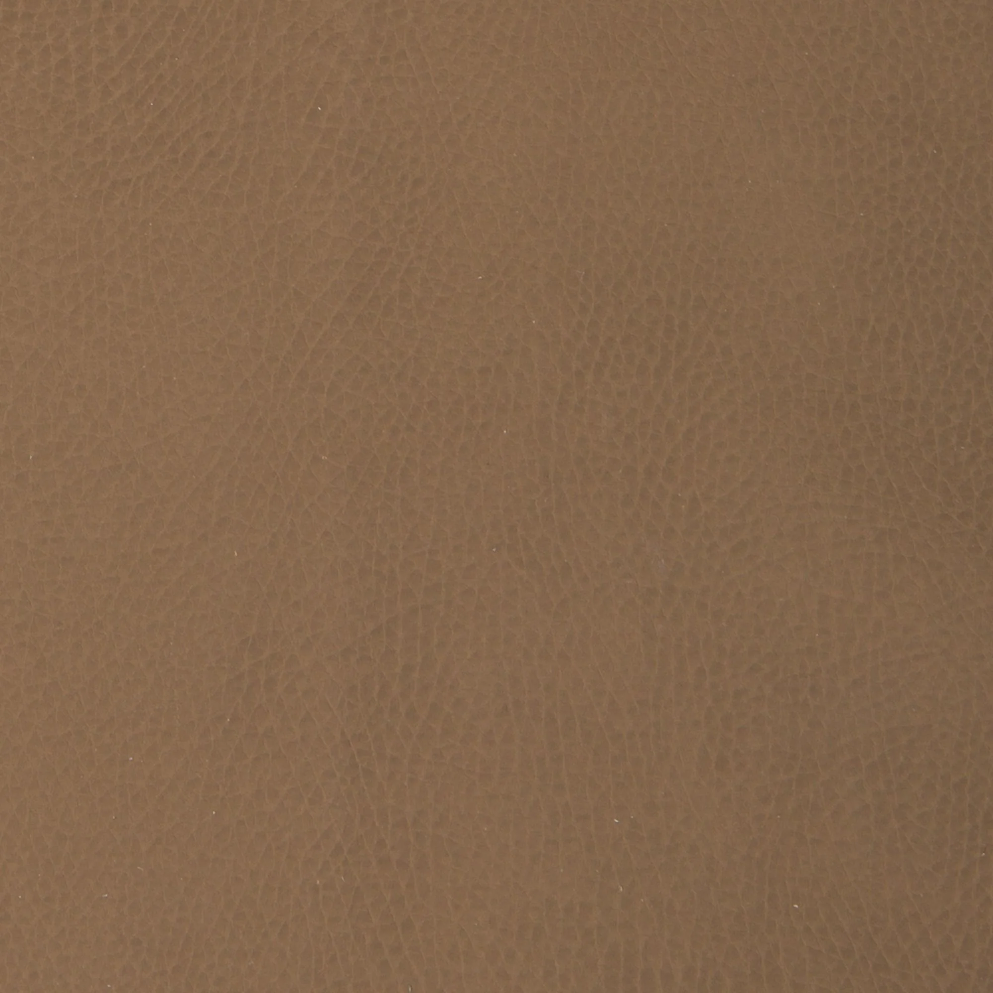 Swatches - Colors - Image 4