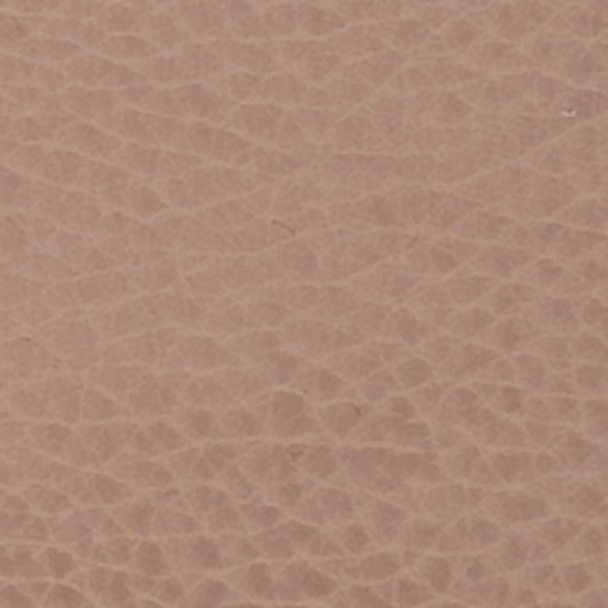Swatches - Colors - Image 45
