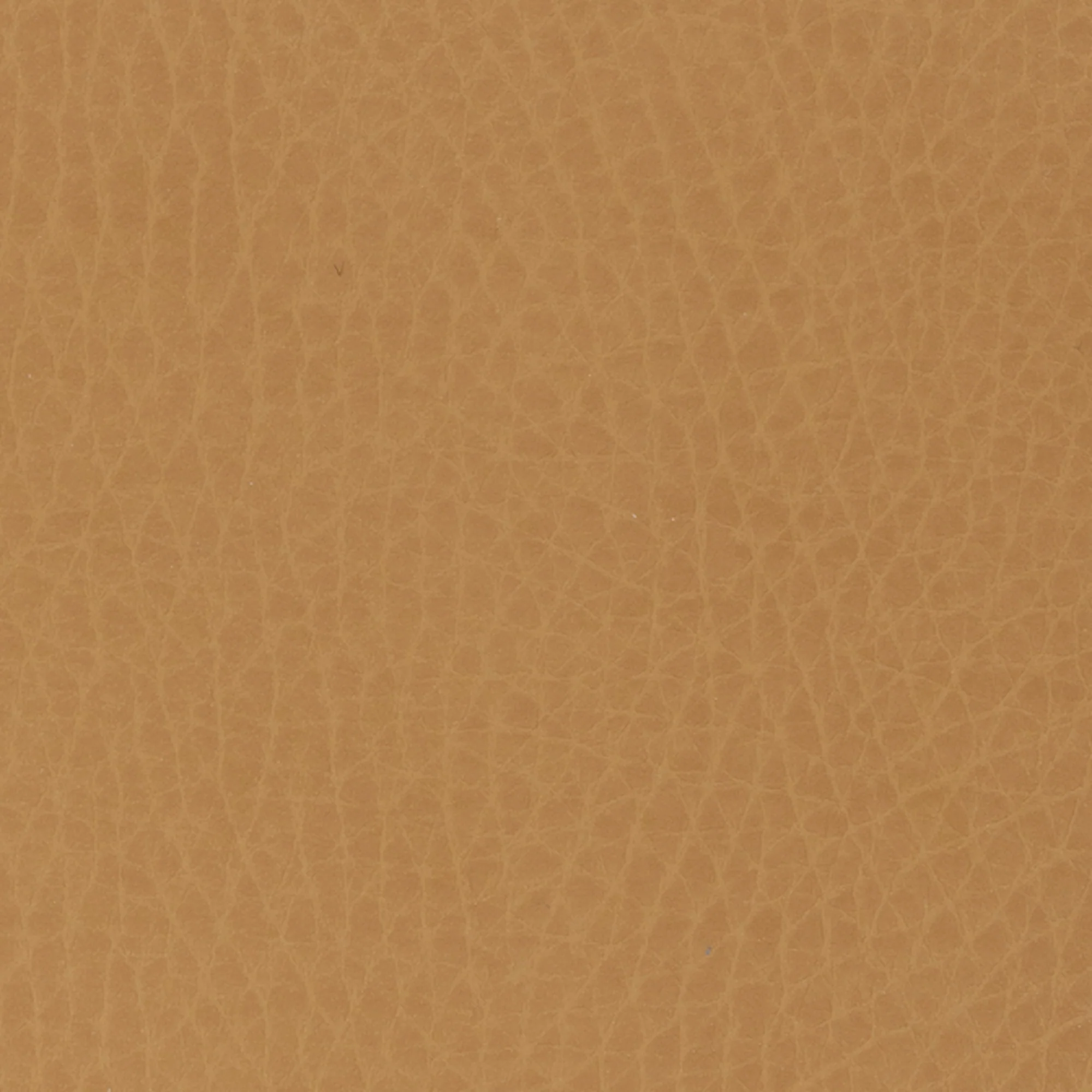 Swatches - Colors - Image 59