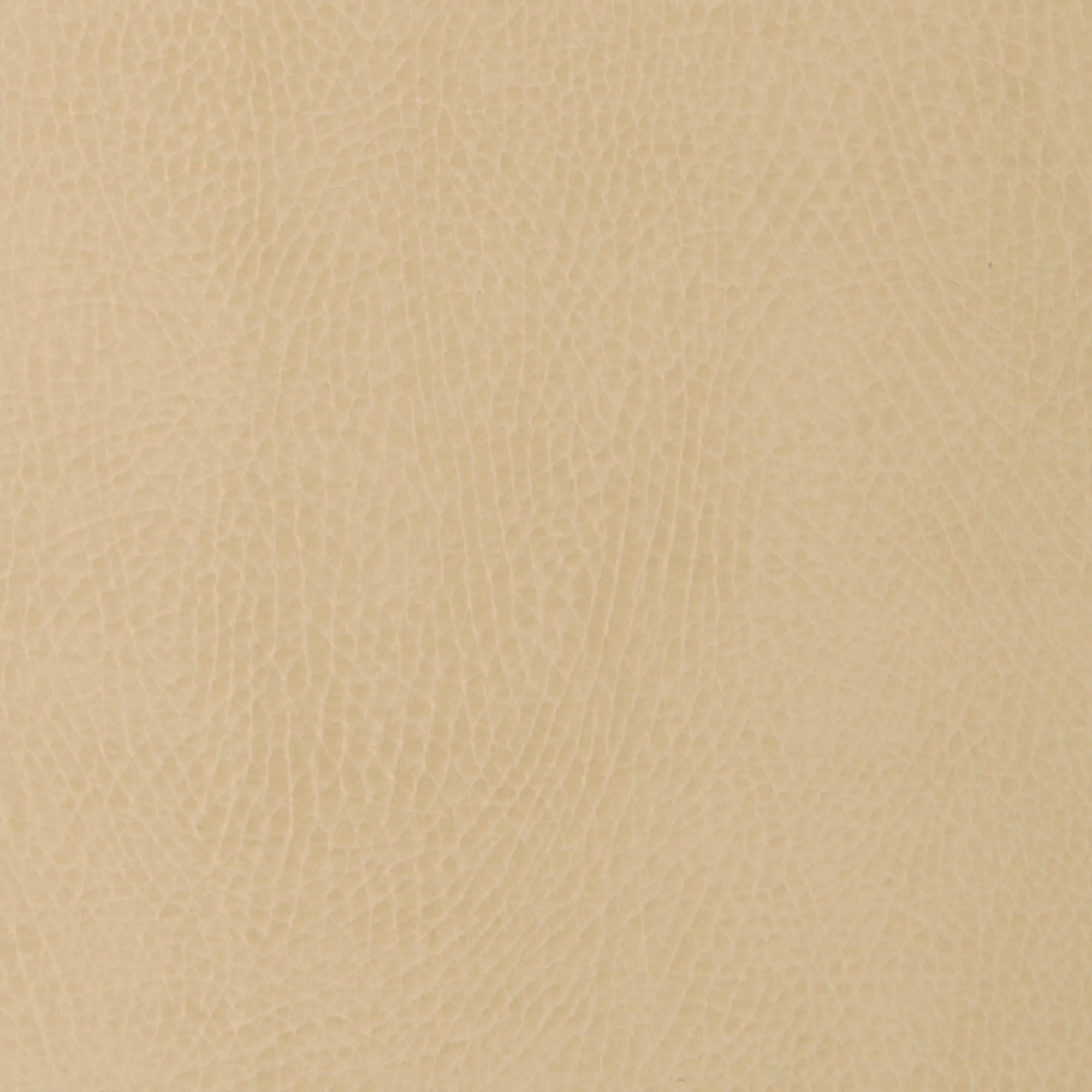 Swatches - Colors - Image 6