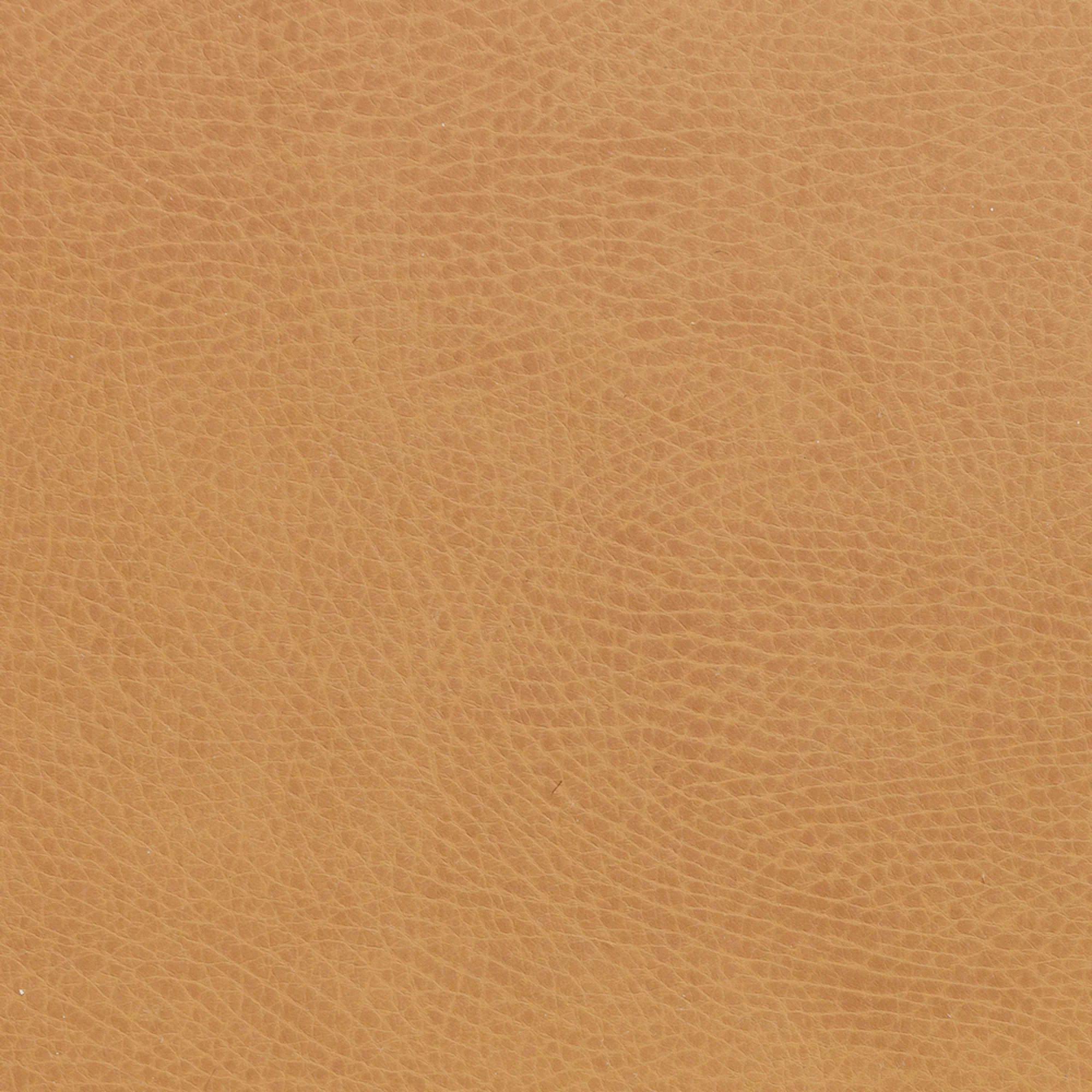 Swatches - Colors - Image 63