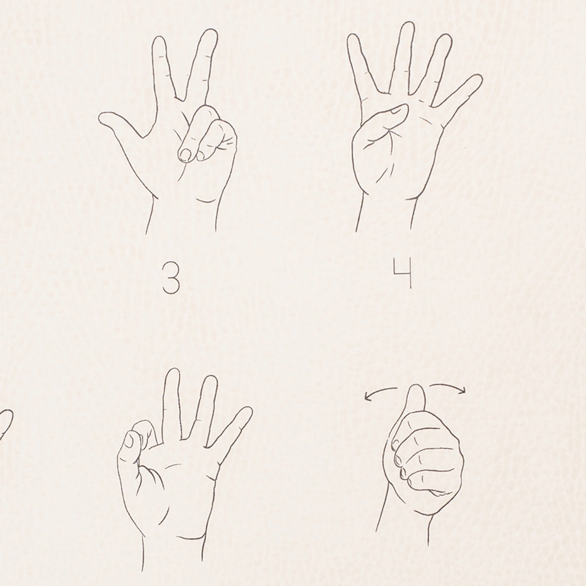 Swatches - Prints - Image 6