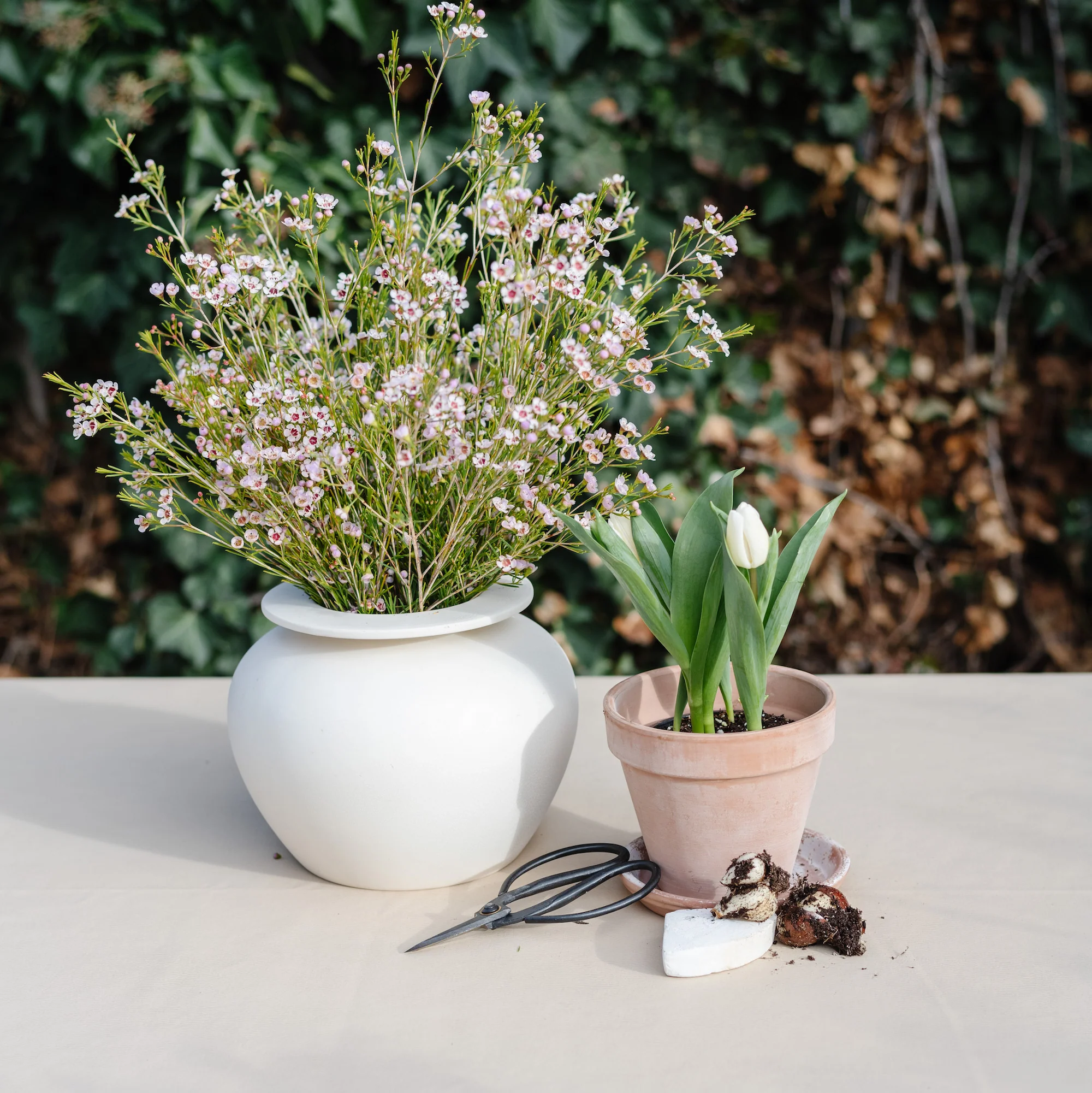 Tablecloth - Image 135